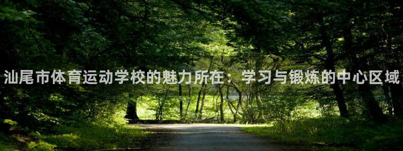一竞技官方正版app集团E.ON：汕尾市体育运动学校