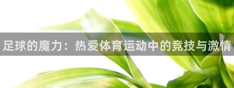 一竞技官方正版app娱乐40996：足球的魔力：热爱