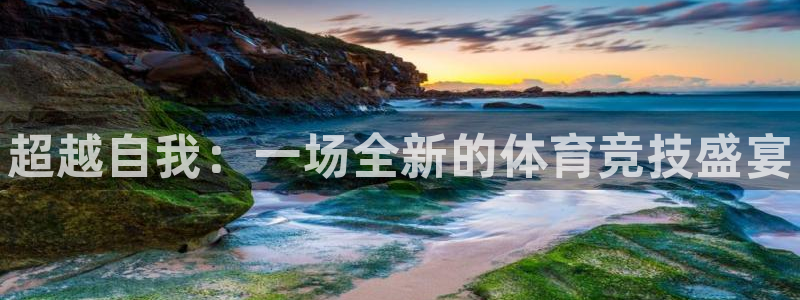 一竞技官方集团官网：超越自我：一场全新的体育竞技盛宴