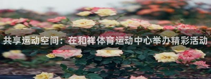 一竞技官网下载招商电话号码是多少：共享运动空间：在和