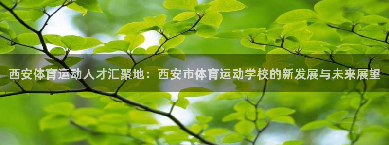 一竞技官方正版app娱乐网站：西安体育运动人才汇聚地