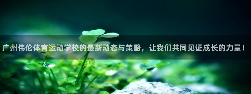 一竞技官网下载平台注册流程图：广州伟伦体育运动学校的