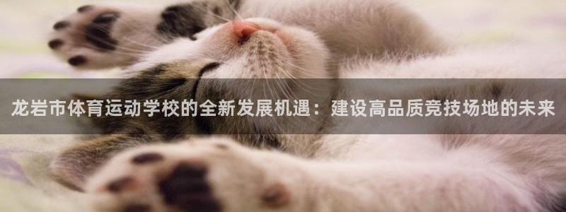 一竞技官方正版app集团官网网址