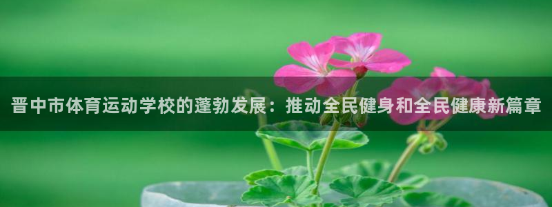 一竞技官方正版app开户：晋中市体育运动学校的蓬勃发展：推动