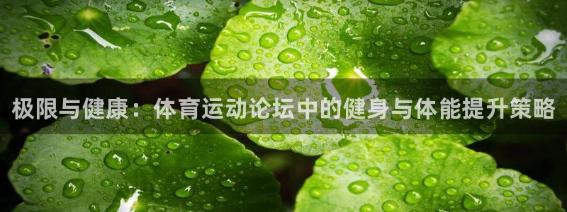 一竞技官网下载平台是正规平台吗：极限与健康：体育运动论坛中的