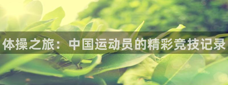 一竞技官方正版app娱乐：体操之旅：中国运动员的精彩竞技记录