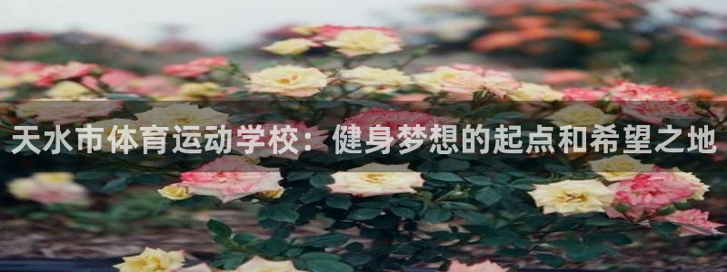 一竞技官方正版app娱乐是那个系列的台子：天水市体育