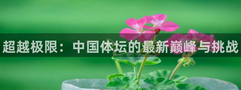一竞技官网下载娱乐：超越极限：中国体坛的最新巅峰与挑战