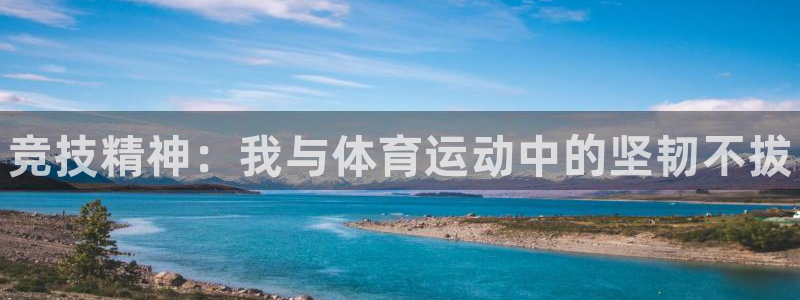 一竞技官网下载是干嘛的公司：竞技精神：我与体育运动中