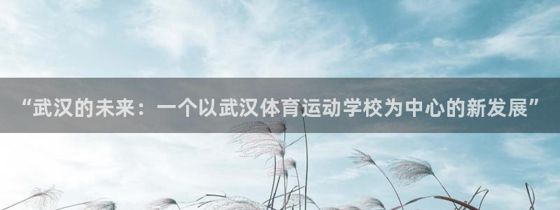 一竞技官方正版app集团官网首页：“武汉的未来：一个以武汉体