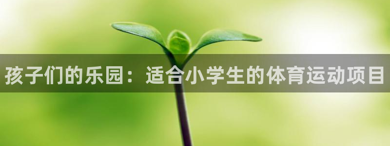 一竞技官方正版app集团简介：孩子们的乐园：适合小学