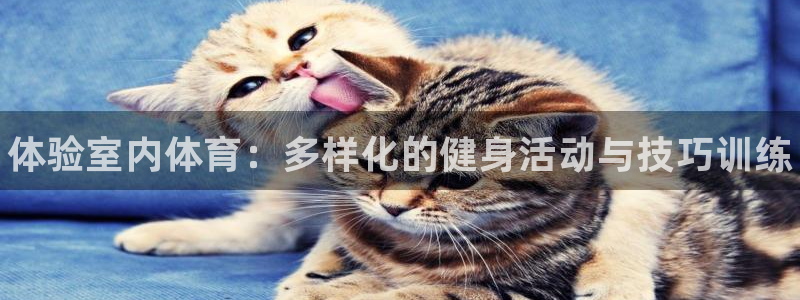 一竞技官网下载官方客服电话：体验室内体育：多样化的健