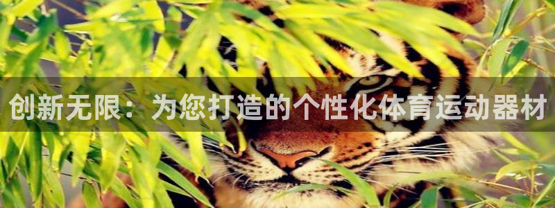 一竞技官网下载：创新无限：为您打造的个性化体育运动器材