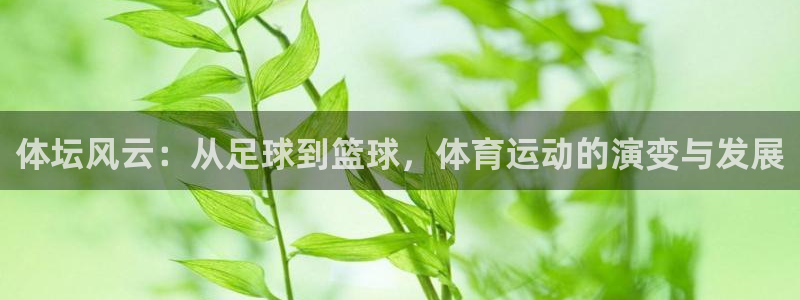 一竞技官方正版app集团logo：体坛风云：从足球到篮球，体