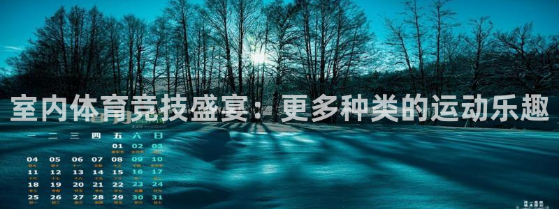 一竞技官网下载招商电话：室内体育竞技盛宴：更多种类的运动乐趣