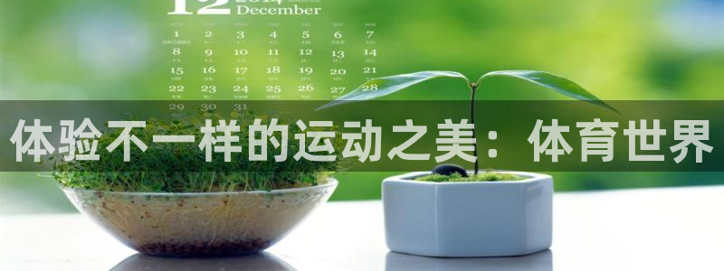 注册一竞技官方正版app：体验不一样的运动之美：体育