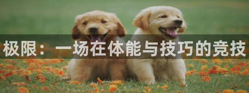 一竞技官网下载平台：极限：一场在体能与技巧的竞技