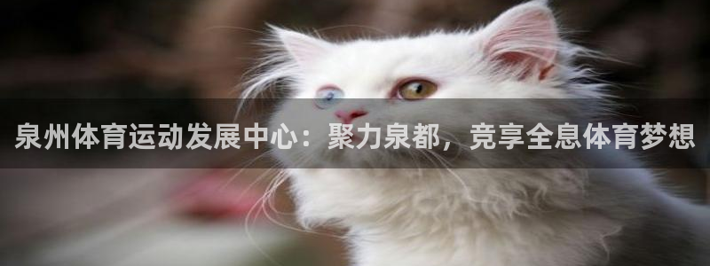 一竞技官方正版app集团logo：泉州体育运动发展中