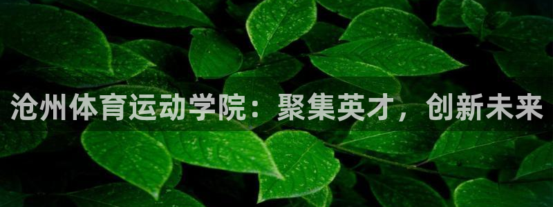 一竞技官网下载平台假的吗是真的吗吗:沧州体育运动学院:聚集英