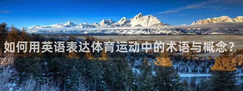 一竞技官网下载招商电话号码查询是多少：如何用英语表达体育运动