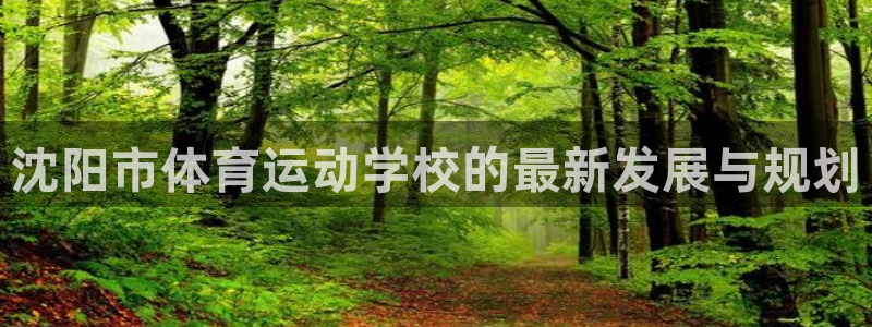 一竞技官方正版app集团简介：沈阳市体育运动学校的最新发展与