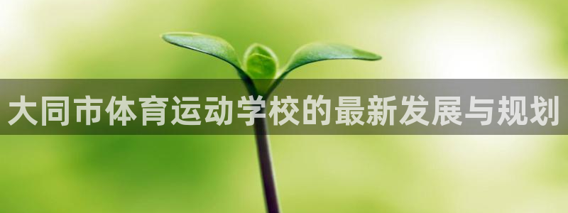 一竞技官网下载平台