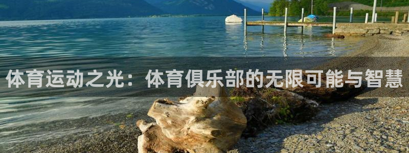 一竞技官方正版app官网：体育运动之光：体育俱乐部的