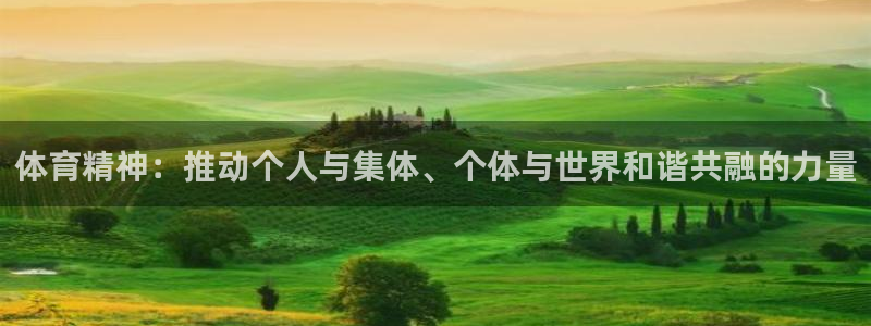 一竞技官网APP