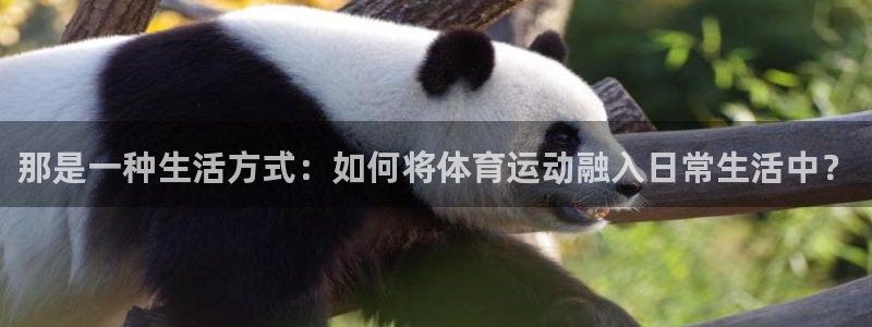 一竞技：那是一种生活方式：如何将体育