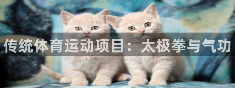 一竞技平台测速：传统体育运动项目：太