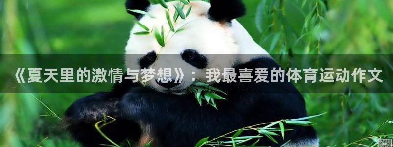 一竞技入口官网首页：《夏天里的激情与