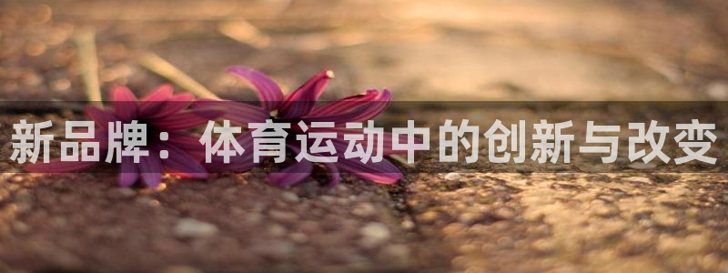 一竞技网址：新品牌：体育运动中的创新