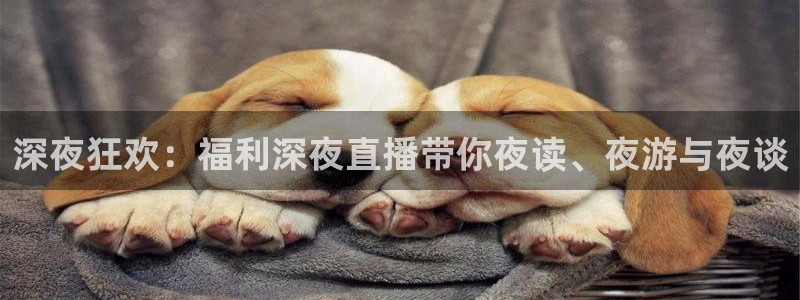 857足球直播在线观看