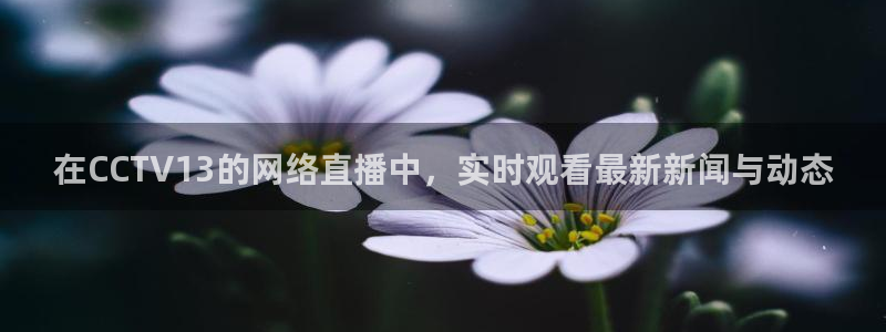 nba857在线直播