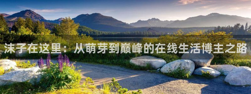 857直播体育官网：沫子在这里：从萌芽到巅峰的在线生活博主之路